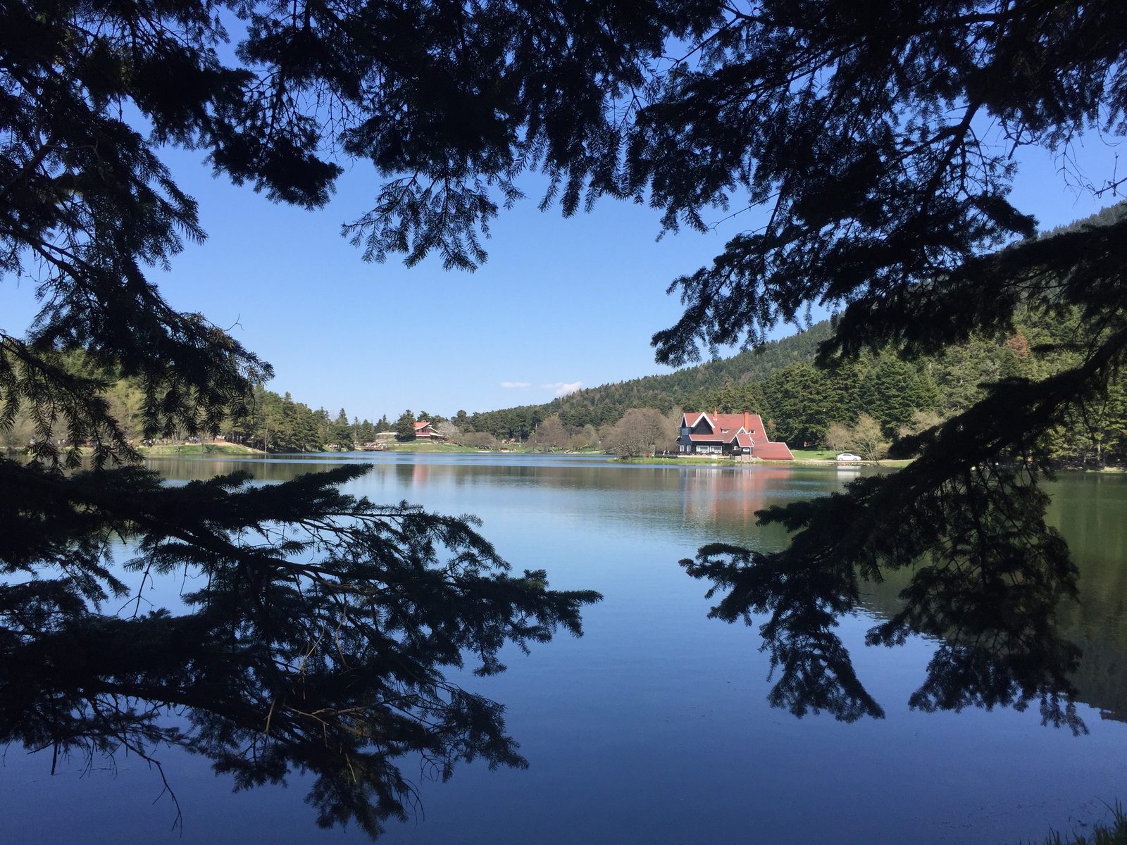 Lake Abant on a misty morning — the source region of BoluPınar water in Turkey's Bolu mountains